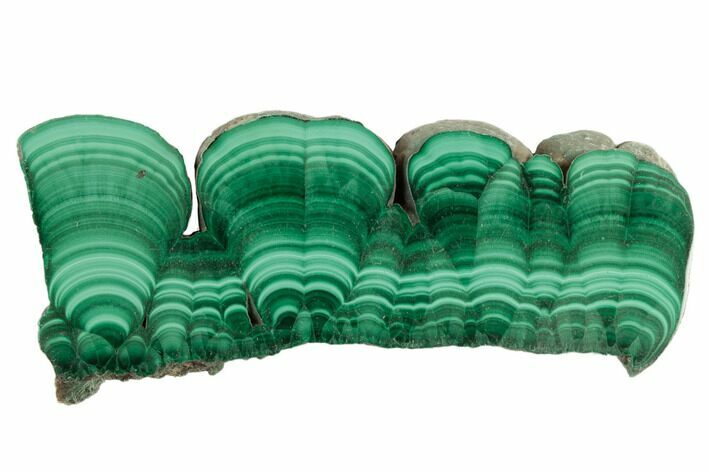 Polished Malachite Slab - Congo #194327